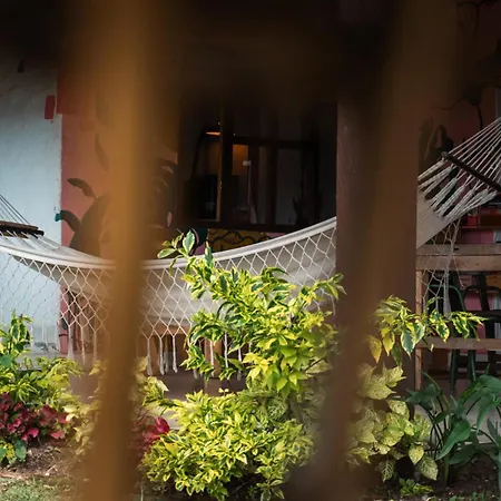 Casa Profunda - Santa Elena Guest House Medellin Exterior photo