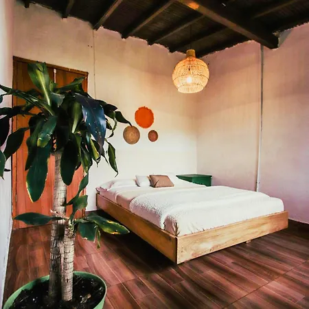 Casa Profunda - Santa Elena Guest House Medellin Exterior photo